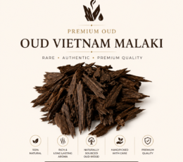 Premium Oud Vietnam Malaki – Special Vision Oud